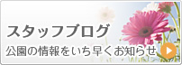 スタッフブログ　公園の情報をいち早くお知らせ