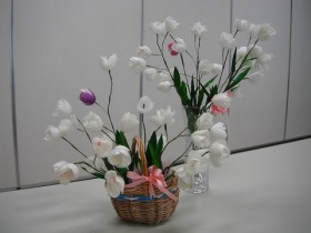 まゆ(6月)