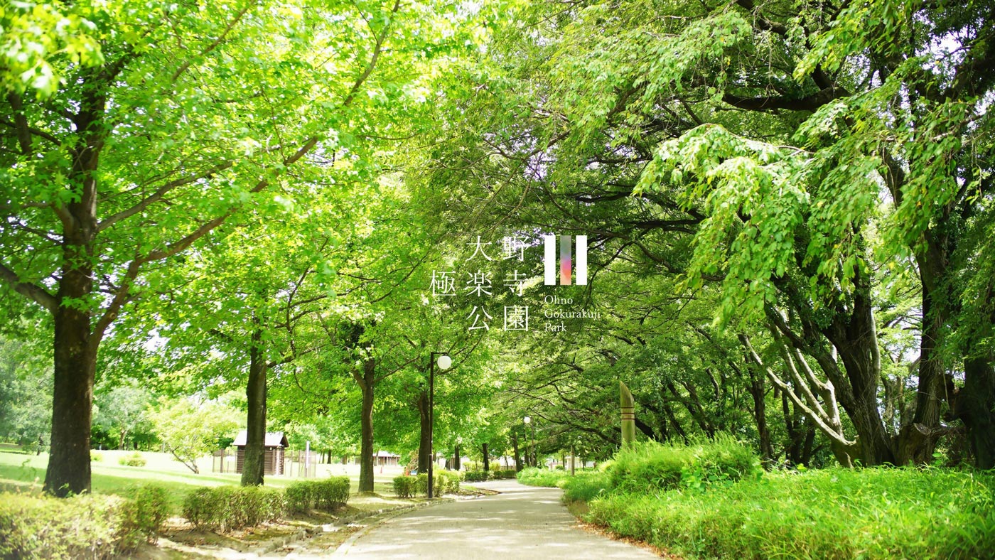 夏