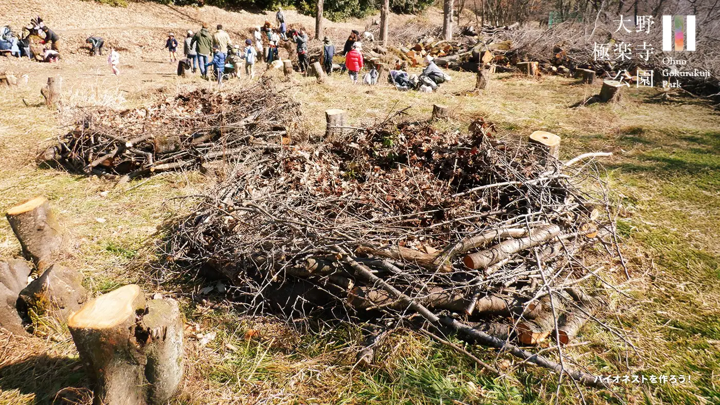 バイオネストを作ろう