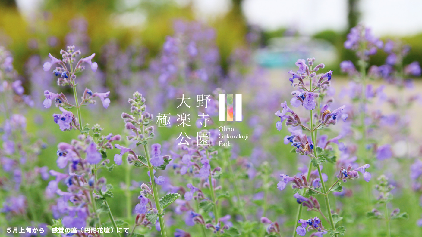 夏