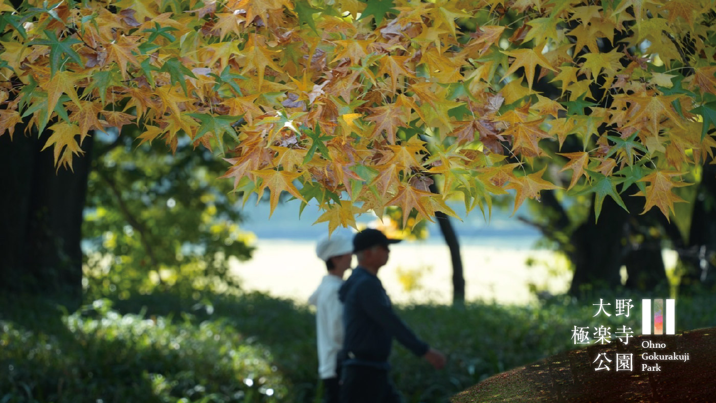 紅葉ウオーキング