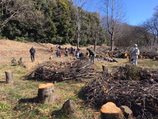 バイオネストを作ろう
