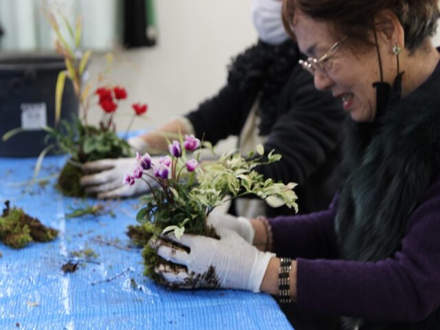 山野草の寄せ植え教室