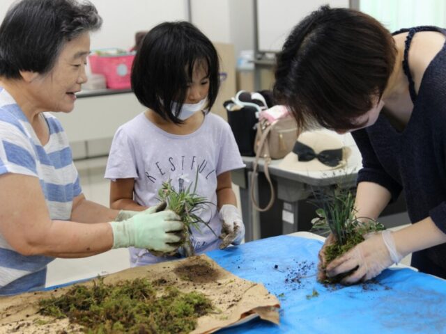 山野草の寄せ植え教室