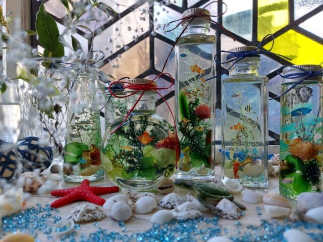 【夏休み特別企画】小さなハーバリウム水族館