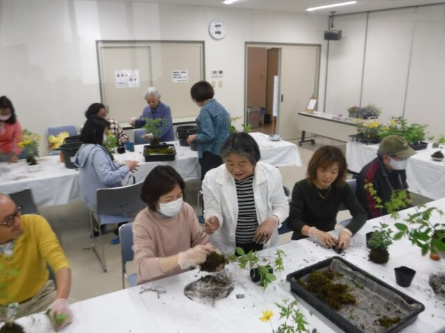 山野草の寄せ植え教室