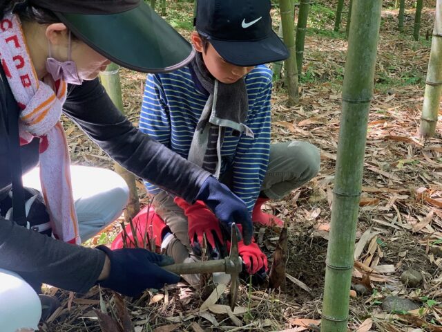 たけのこ掘り体験